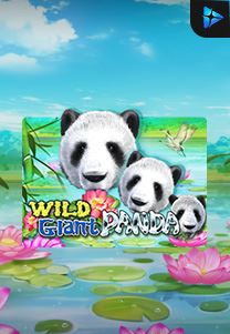 Bocoran RTP Wild Giant Panda di Situs Ajakslot Generator RTP Resmi dan Terakurat